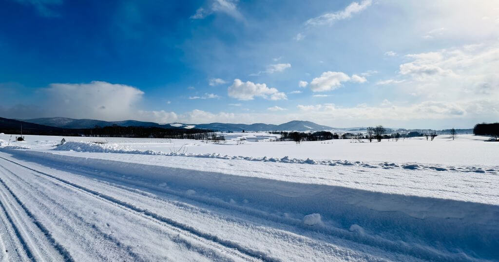 冬で雪に埋もれた北海道の米畑